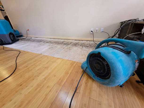 Reliable Basement Flood Cleanup contractor in East Millinocket, ME by Hirex Water Damage