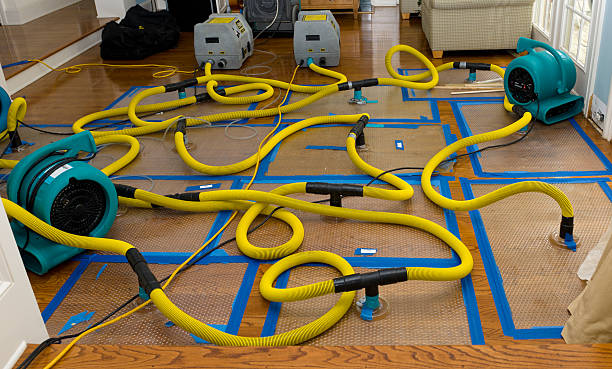 Professional Basement Flood Cleanup technician working in East Millinocket, ME